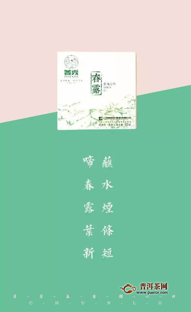 二月二龙抬头，鸿运当头！普秀云南普洱茶买2送2