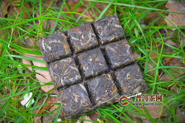二月二龙抬头，鸿运当头！普秀云南普洱茶买2送2