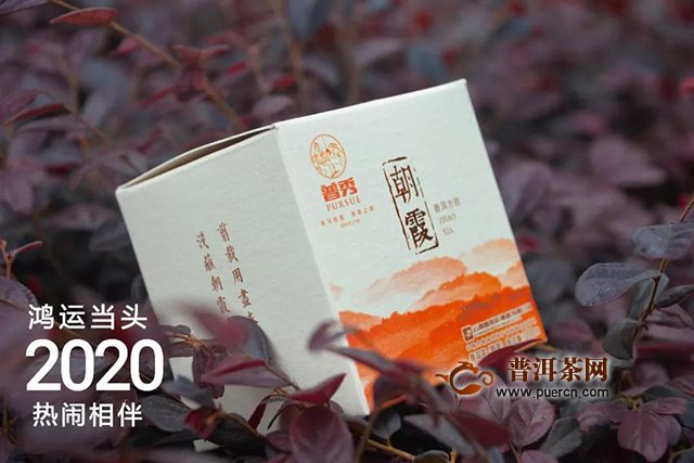 二月二龙抬头，鸿运当头！普秀云南普洱茶买2送2