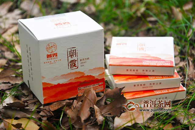 二月二龙抬头，鸿运当头！普秀云南普洱茶买2送2