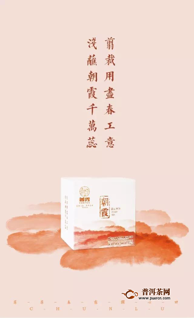 二月二龙抬头，鸿运当头！普秀云南普洱茶买2送2