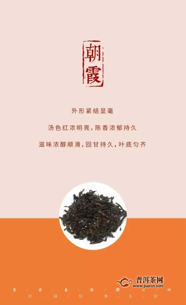 二月二龙抬头，鸿运当头！普秀云南普洱茶买2送2