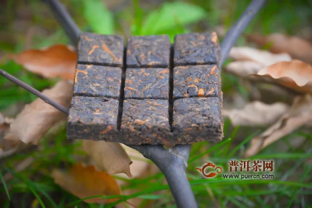 二月二龙抬头，鸿运当头！普秀云南普洱茶买2送2