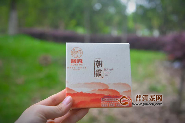 二月二龙抬头，鸿运当头！普秀云南普洱茶买2送2