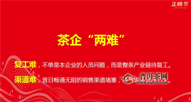 正皓茶：疫情当下，茶企茶商如何应对及发展