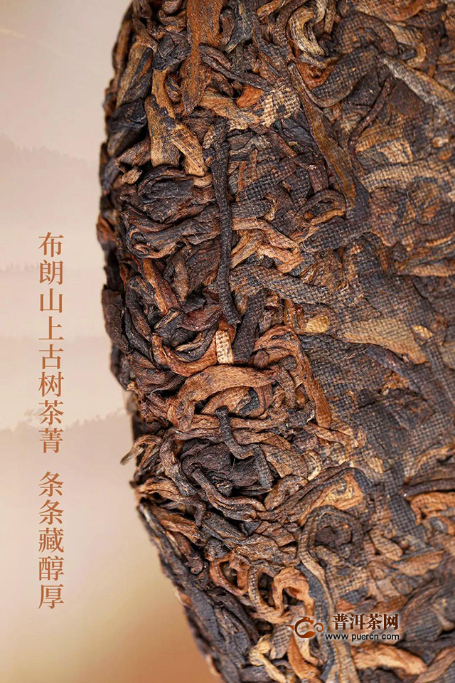 海湾茶业老同志2019年高山醇上市