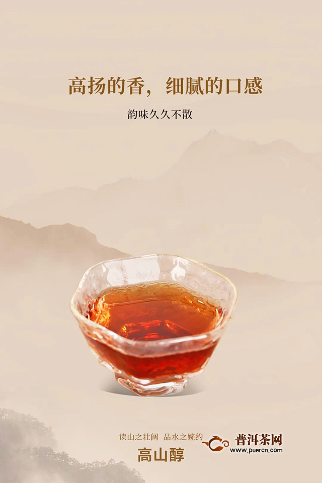海湾茶业老同志2019年高山醇上市