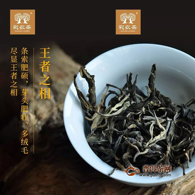 彩农茶茶之至尊，王者班章
