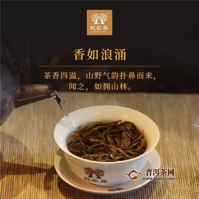 彩农茶茶之至尊，王者班章