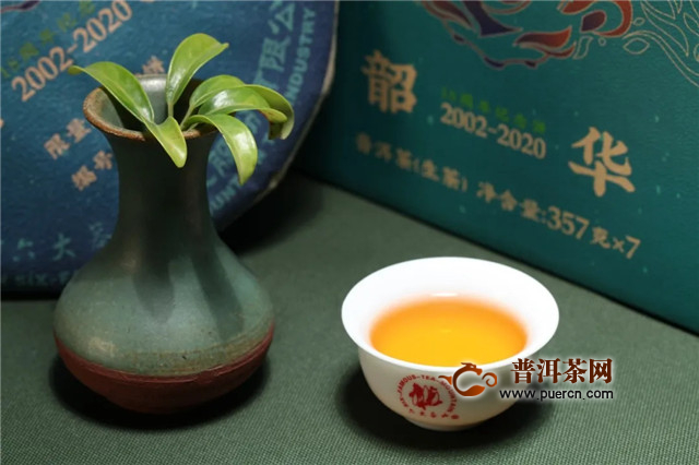 六大茶山最抢手新品“韶华” 已经登陆全国各大门店啦！