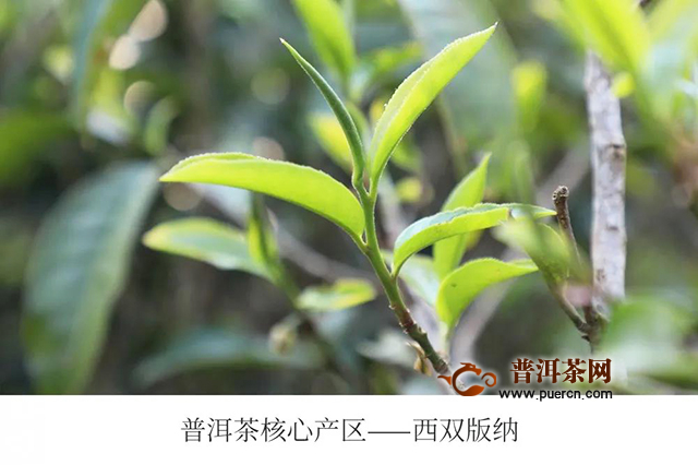 老同志2020年“75”系列产品，传承经典、新装上市！