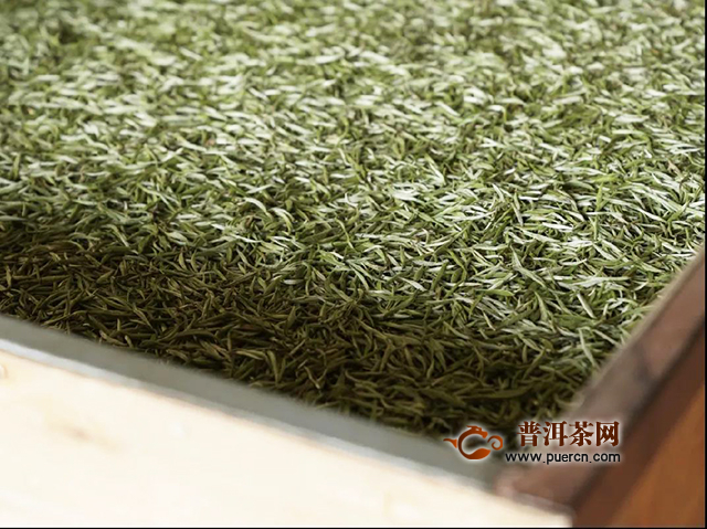 吉普号茶山黑话179：首次公开！潜入凤庆70年初制所，探秘古法制茶？