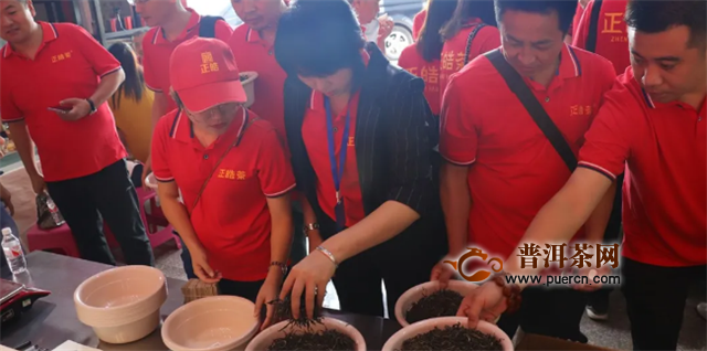访茶源，探好茶！正皓茶·云南茶山研学之旅圆满成功