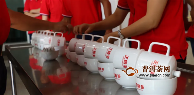 访茶源，探好茶！正皓茶·云南茶山研学之旅圆满成功