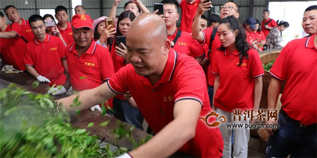 访茶源，探好茶！正皓茶·云南茶山研学之旅圆满成功