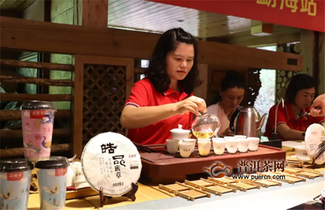 访茶源，探好茶！正皓茶·云南茶山研学之旅圆满成功