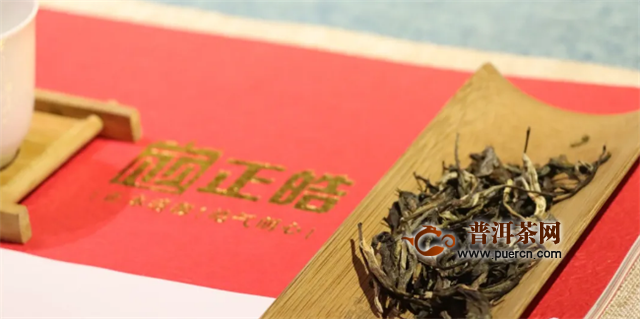 访茶源，探好茶！正皓茶·云南茶山研学之旅圆满成功