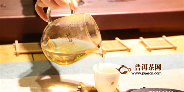 访茶源，探好茶！正皓茶·云南茶山研学之旅圆满成功