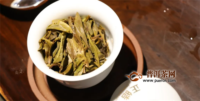 访茶源，探好茶！正皓茶·云南茶山研学之旅圆满成功