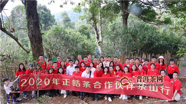 正皓“皓品班章”如此受欢迎 这里面有3个不能说的秘密！