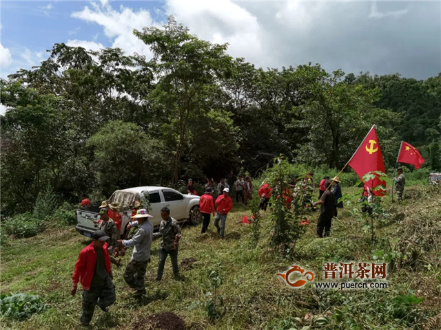 合和昌茶业：“合”力守护，绿水青山！