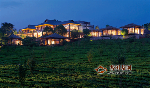 柏联茶窖会员体验，景迈山朝圣之旅