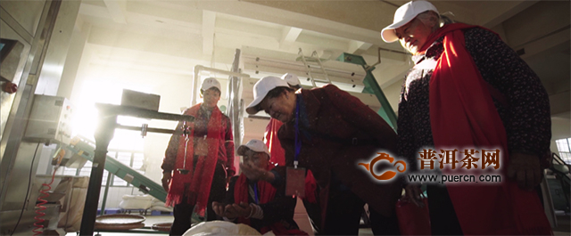 五洲同唱，《大益歌》全新MV华彩上线