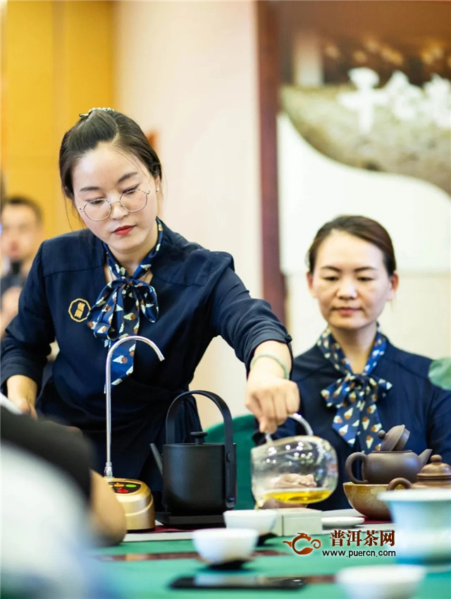 双陈普洱广东区品牌推介会圆满成功