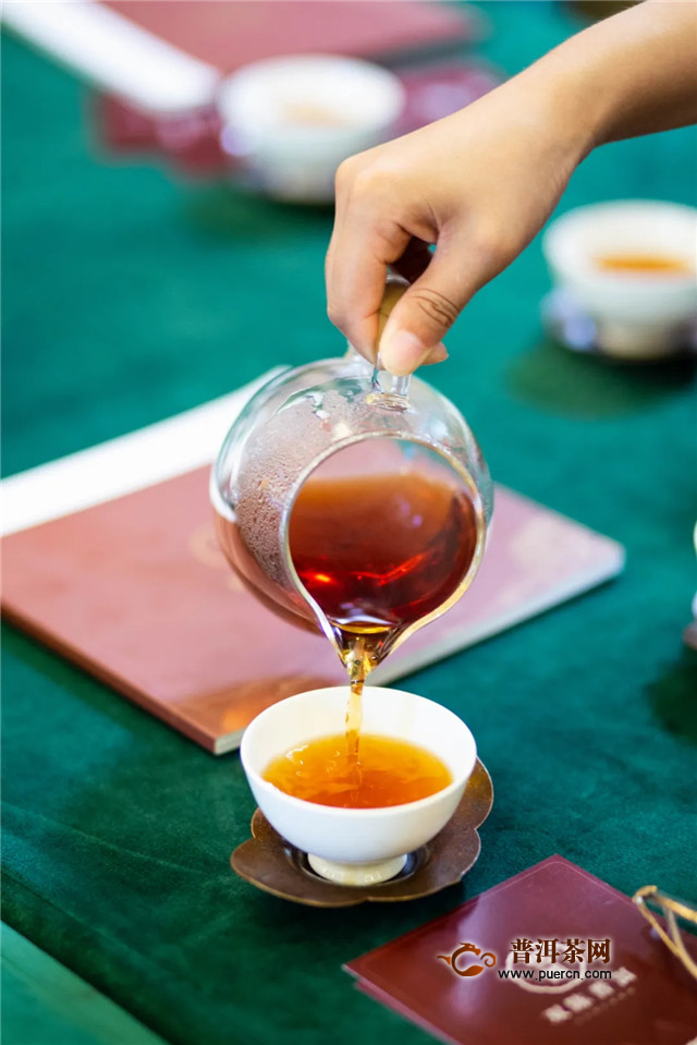 双陈普洱广东区品牌推介会圆满成功