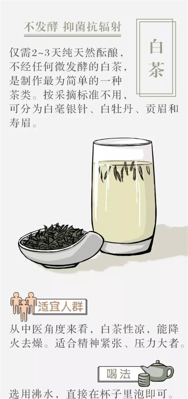 茶再爱再好，也要换着喝